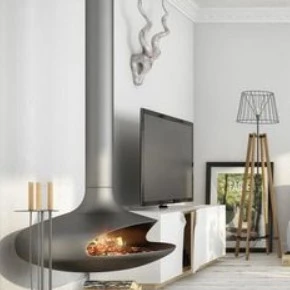 Contemporary Wood Burning Stove factory